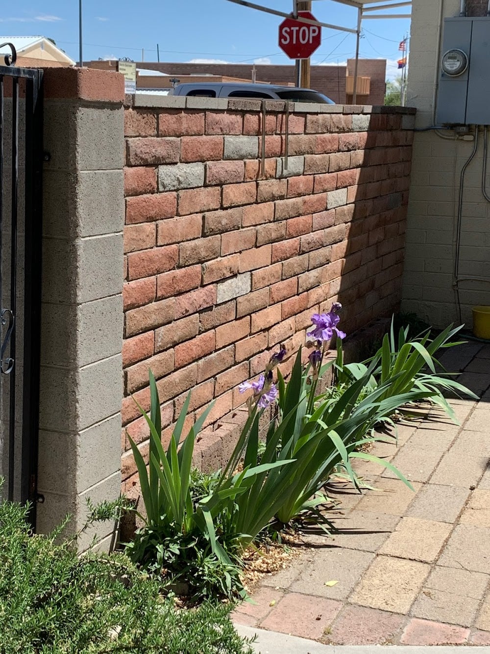 Walneck’s Safford Sewing Center