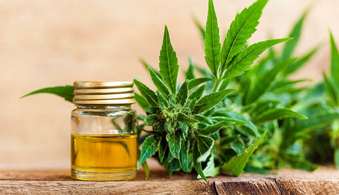 CBD for sleep: Can cannabidiol help you get a better night’s rest? 