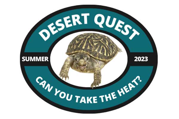 Library hosting community-wide scavenger hunt