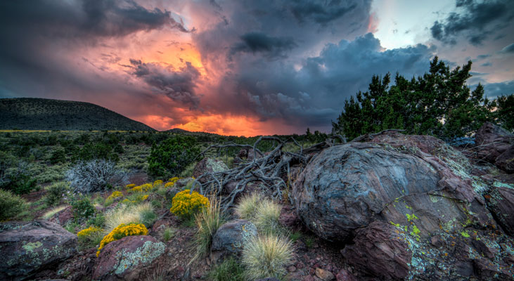 Arizona Highways magazine wins 17 awards for excellence
