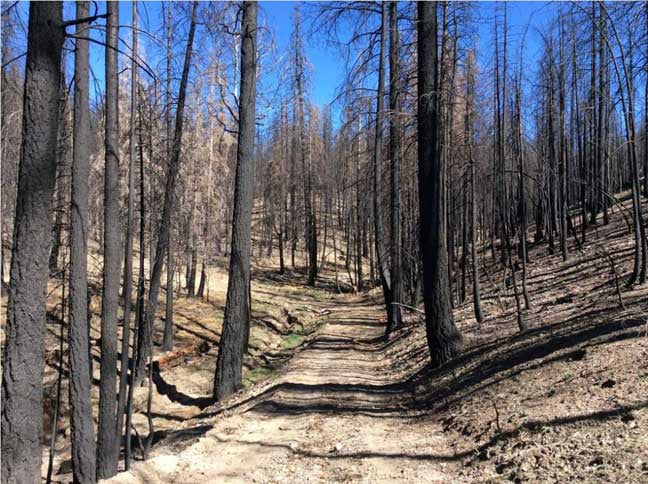 Hikers heading to Treasure Park