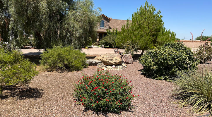 8 Must-know DIY landscaping tips for 2023