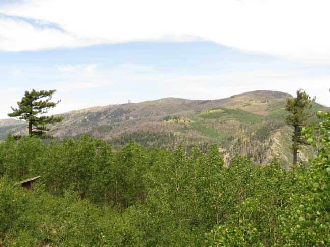 Hike to spot native plants this weekend