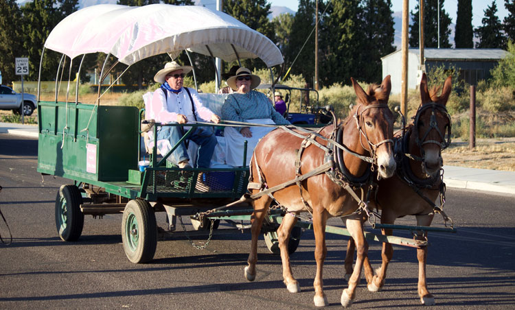 Pioneer Days events this Friday and Saturday