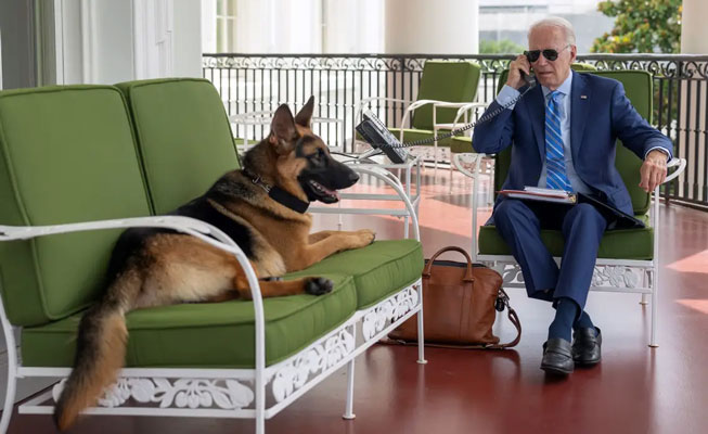 Editorial: Better a bad dog than a mad dog