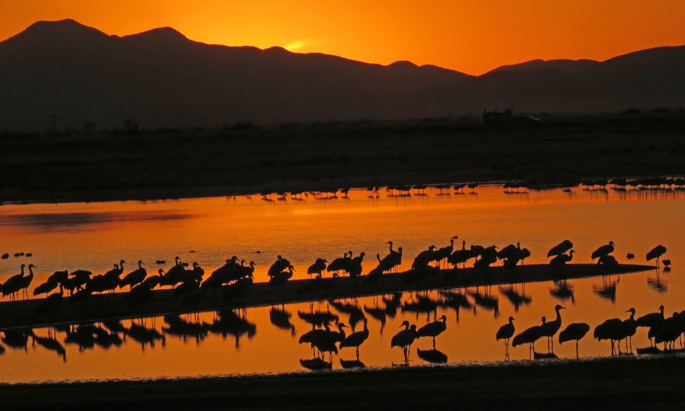 From grand to grounding: How Arizona’s natural beauty helps with addiction recovery