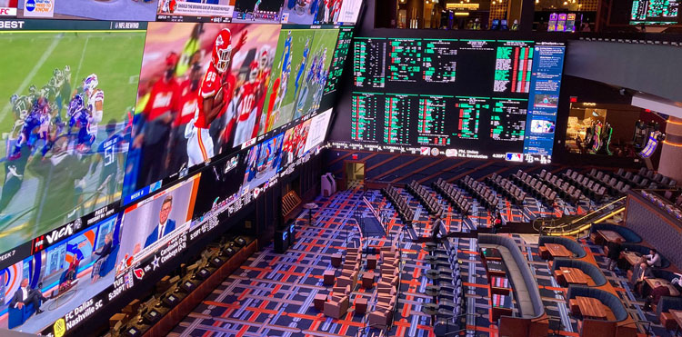 What Are The Easiest Sports To Bet On?