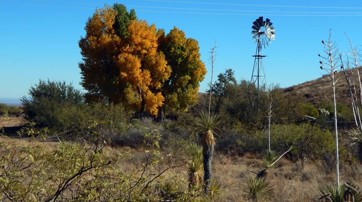 Editorial: Easing into winter – The Gila Herald
