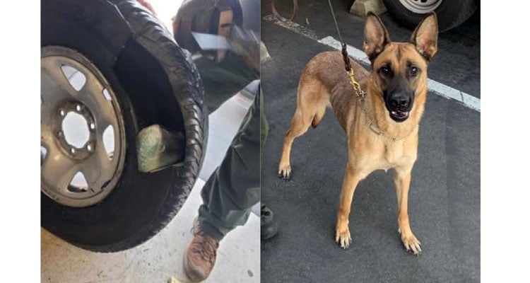 U.S. Border Patrol canine sniffs out 38 pounds of deadly fentanyl hidden in spare tire
