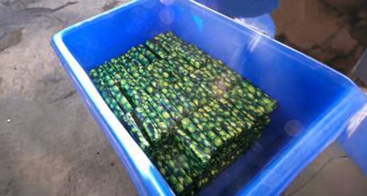 Shipment of limes results in over  million worth of cocaine