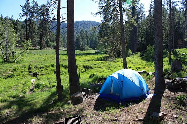 Forest Service seeking hosts for summer on Mount Graham