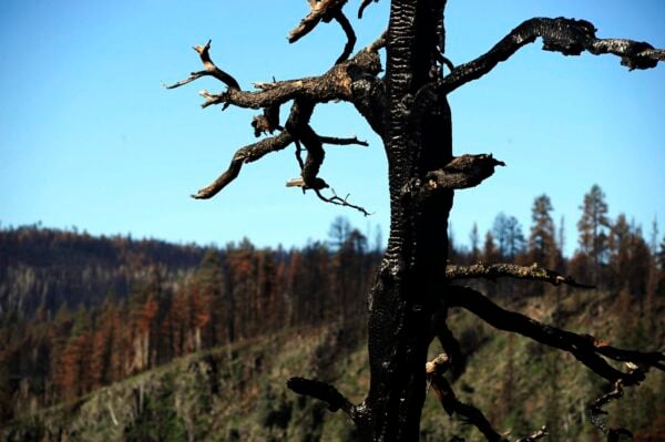 State officials warn of potentially ‘explosive’ wildfires this summer