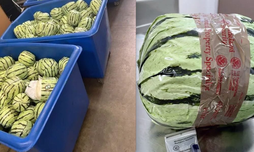 CBP Officers discover  million worth of methamphetamine disguised as watermelons