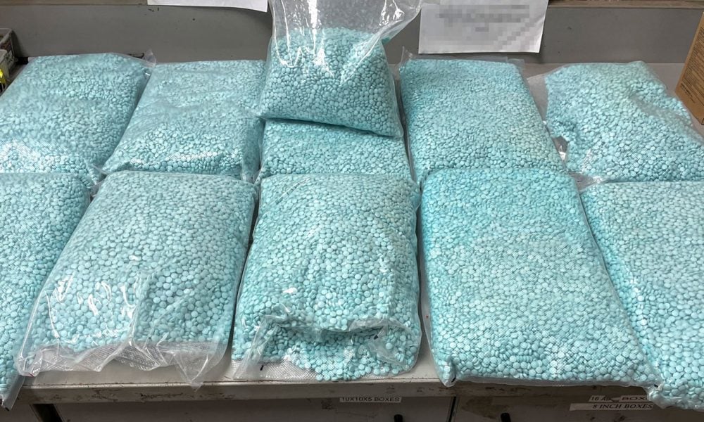Traffic stop leads to the seizure of more than 51 pounds of fentanyl pills