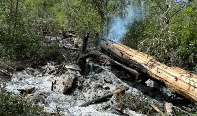U.S. Forest Service gives final update on small fires on Mount Graham 