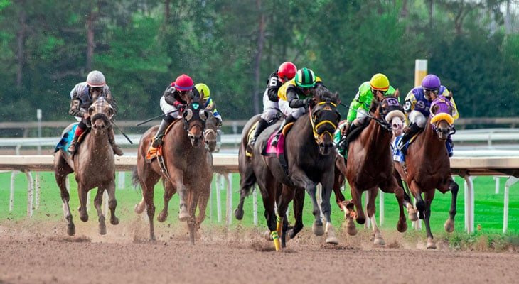 2024 Breeders’ Cup Sprint: Getting To Know The Top 5 Contenders