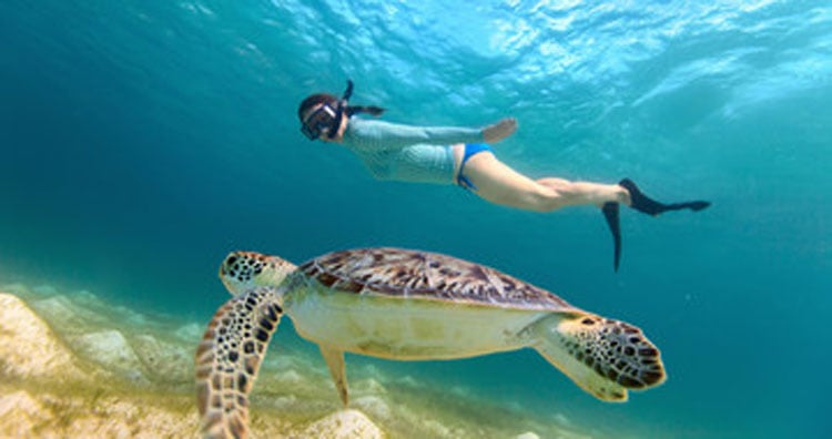 Exploring Rafting and Snorkeling: An Adventure Lover’s Guide