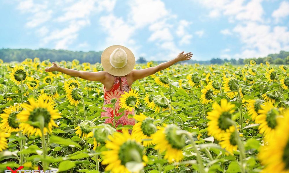 “It’s finally Friday.”  Tell us about what the perfect weekend looks like for yo…
