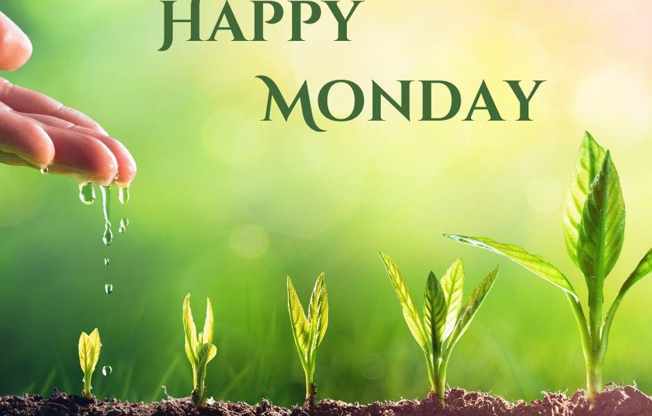 With the right approach, Monday turns into something great! Happy Monday! #monda…