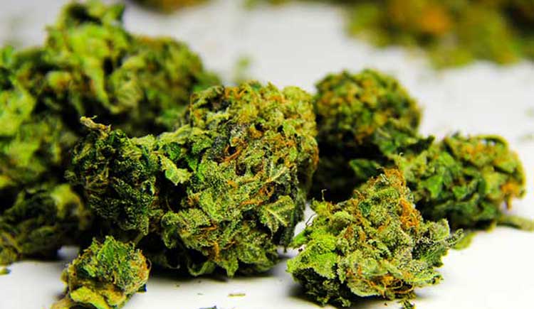 Surprising facts about the growing cannabis industry