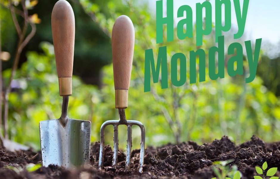 Mondays can be the start of something great! How are you digging in to start you…