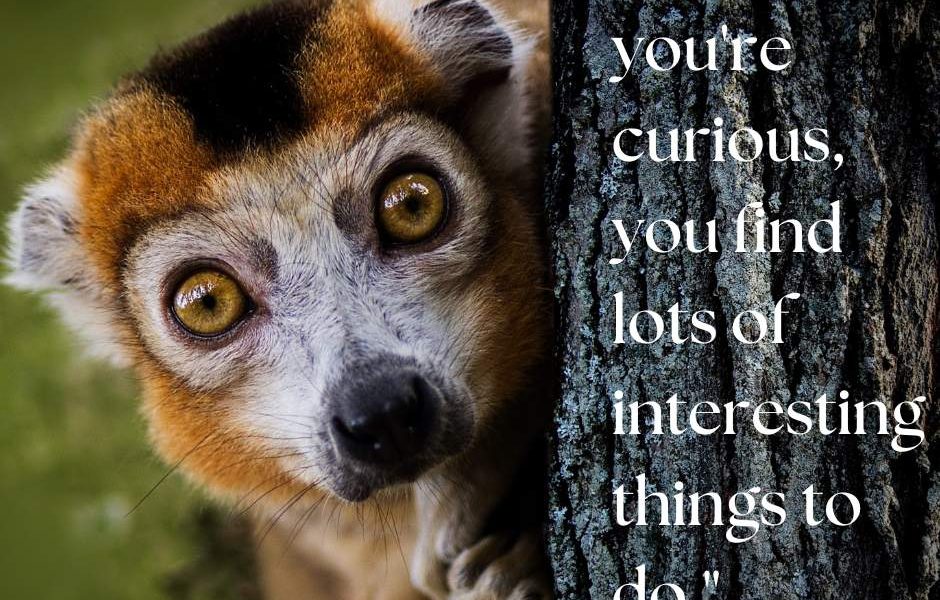 “When you’re curious, you find lots of interesting things to do.” -Walt Disney #…