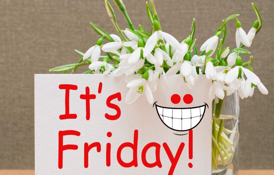 It’s such a great day, even the plants are smiling! Happy Friday to you! #HappyF…