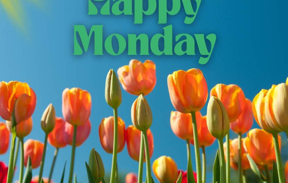 Happy Monday! Here’s to experiencing a day filled with great things! #HappyMonda…