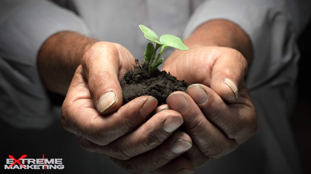 We help businesses grow with smart, consistent social media support across all m…