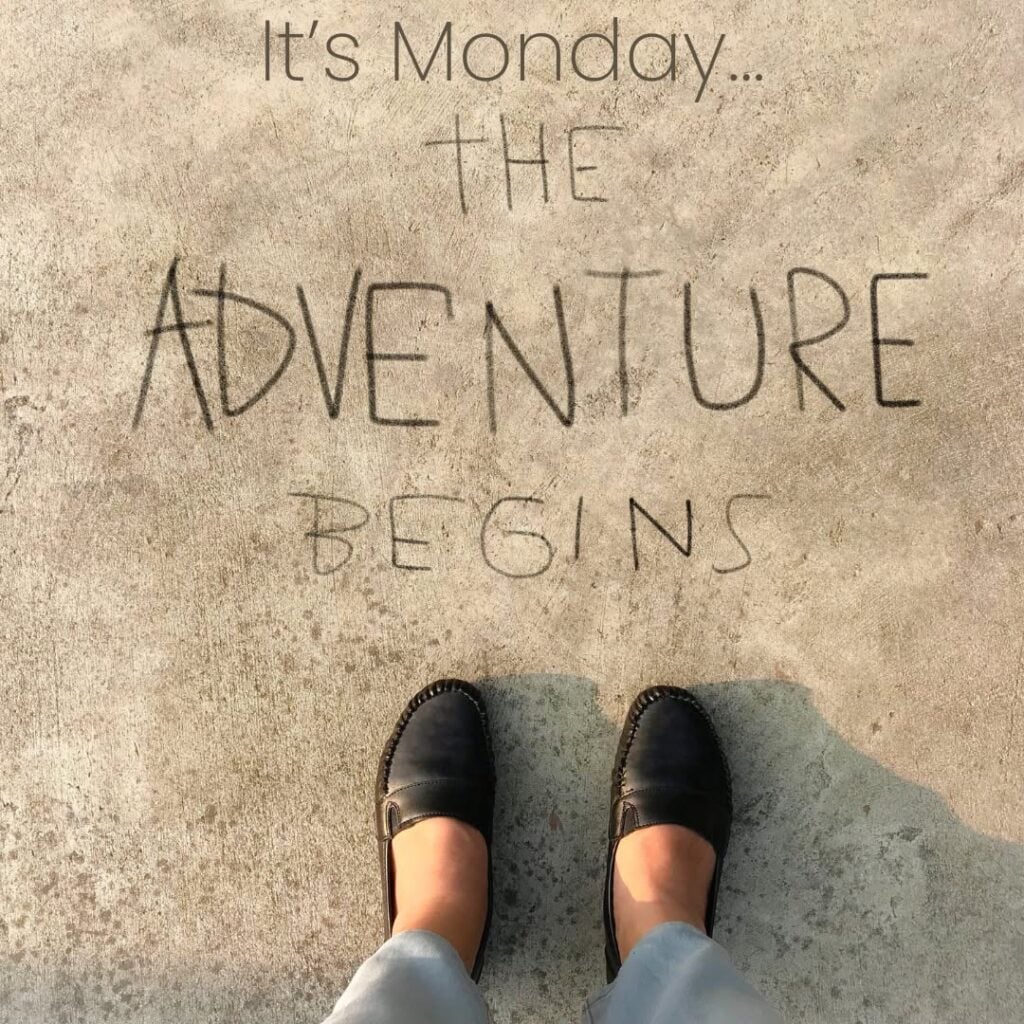 It’s choose-your-own-adventure time again! Happy Monday! #monday #happymonday #j…