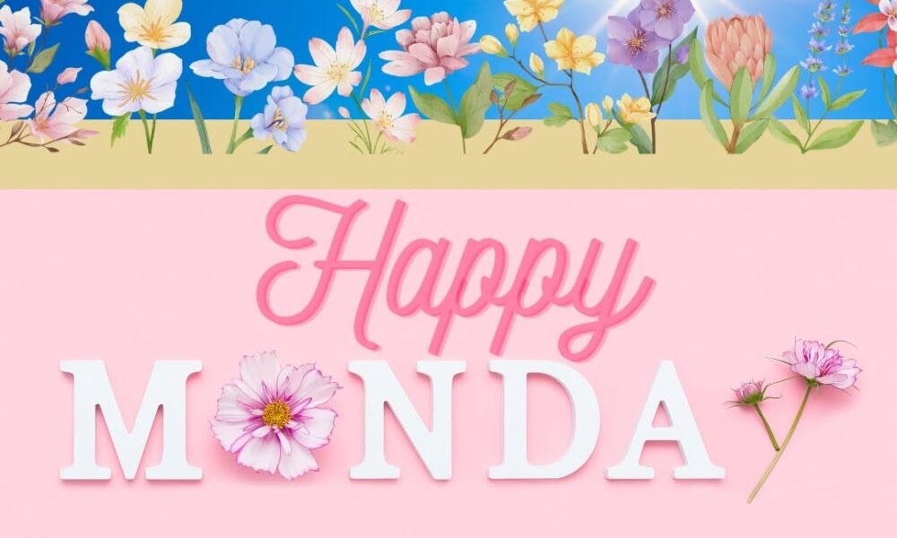 Wishing you a happy Monday! #happymonday #monday #grow #week #makeithappen #beau…