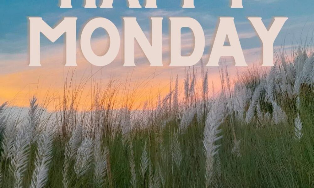 Monday is a great day for new beginnings and new goals. Wishing you the best day…
